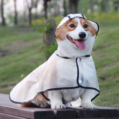 Dog Raincoat for Small Breeds
