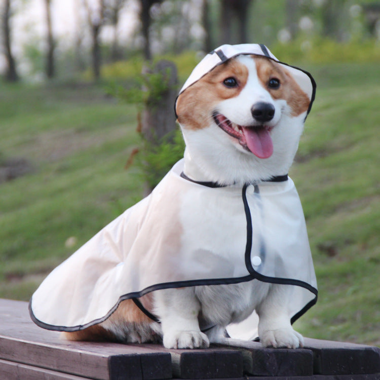 Dog Raincoat for Small Breeds