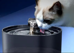 Pet Water Dispenser